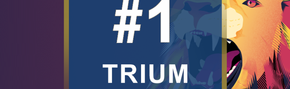 巴黎HEC新闻: 新闻 | HEC TRIUM EMBA荣获QS联合项目全球排名榜首