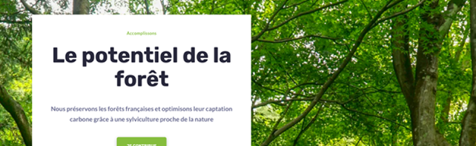 巴黎HEC校友感言: HEC校友风采｜Victor Chevrillon (H.14)：优化碳封存，唤醒森林的力量 